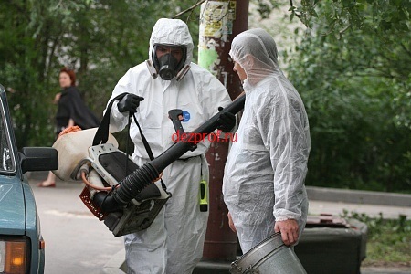 Вместо тараканов на фабрике в Ленинском районе отравили людей